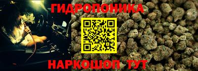 бошки Гатчина