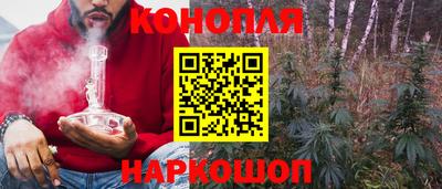 бошки Гатчина