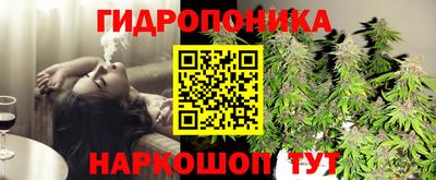 винт Гагарин
