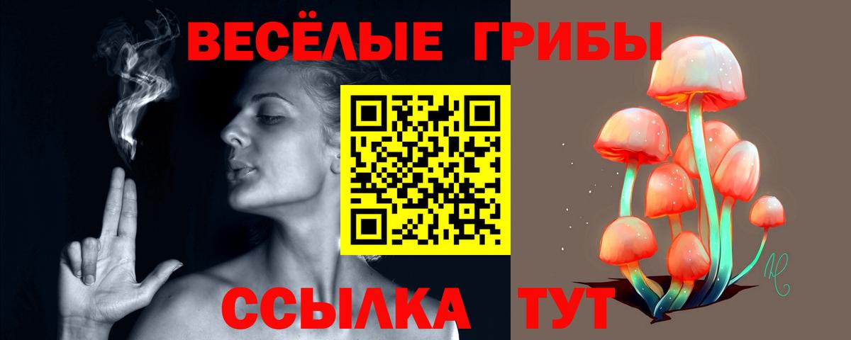 Нерюнгри  Псилоцибиновые грибы MAGIC MUSHROOMS  Псилоцибиновые грибы Psilocybine cubensis  Вход с VPN 
